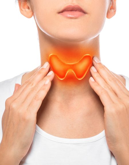 full thyroid panel test